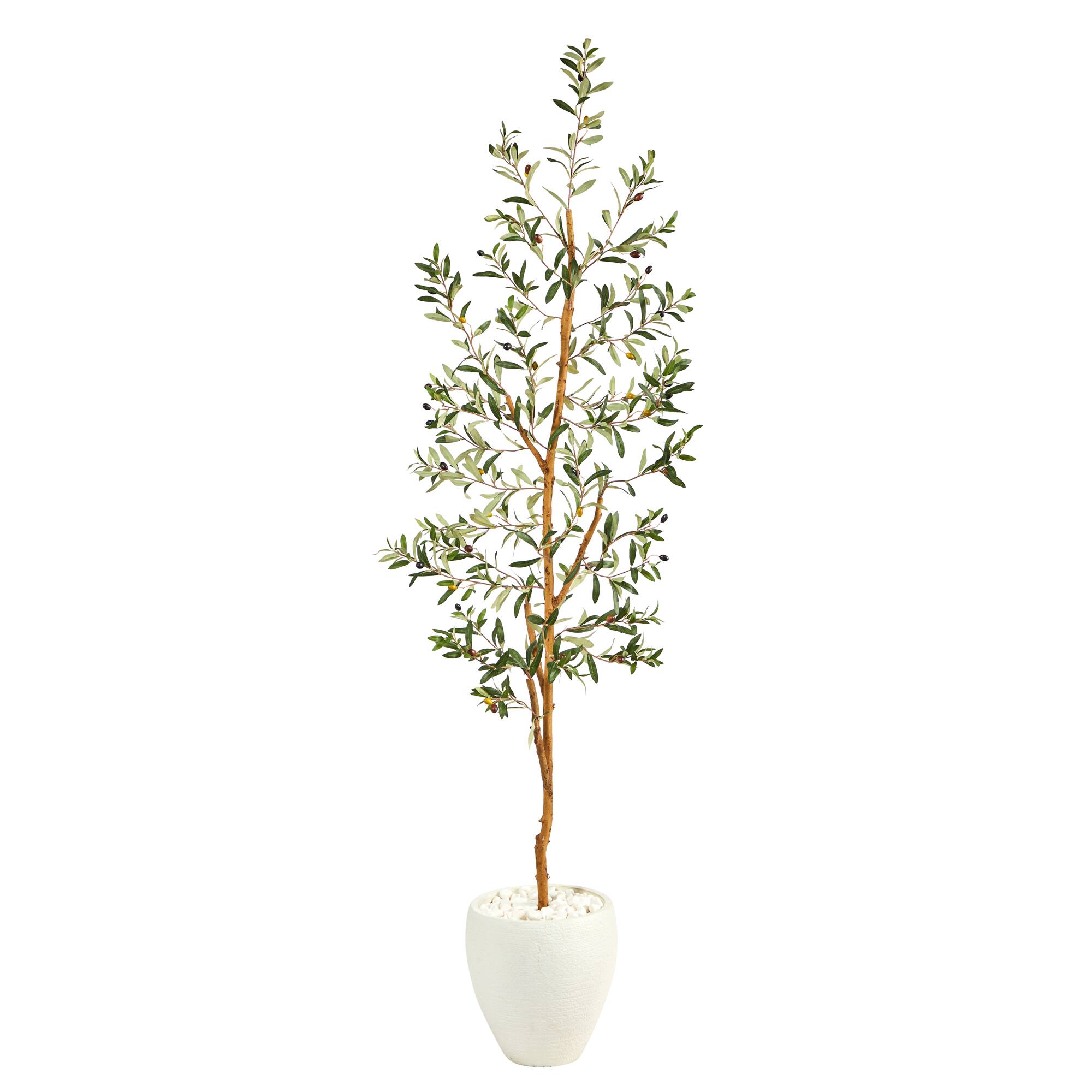 6ft. Olive Artificial Tree in White Planter